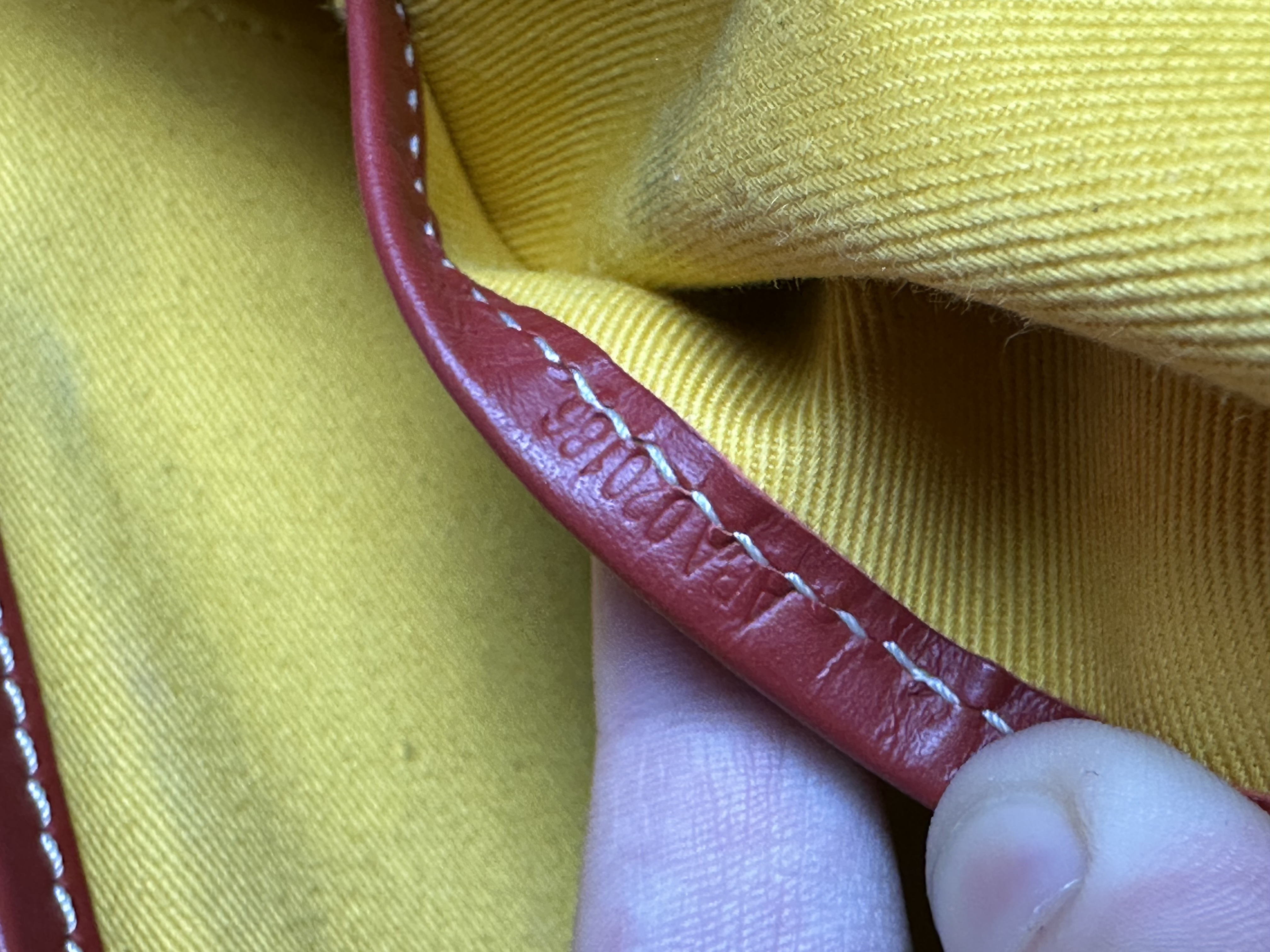 Goyard Belvedere MM Uzi-Red