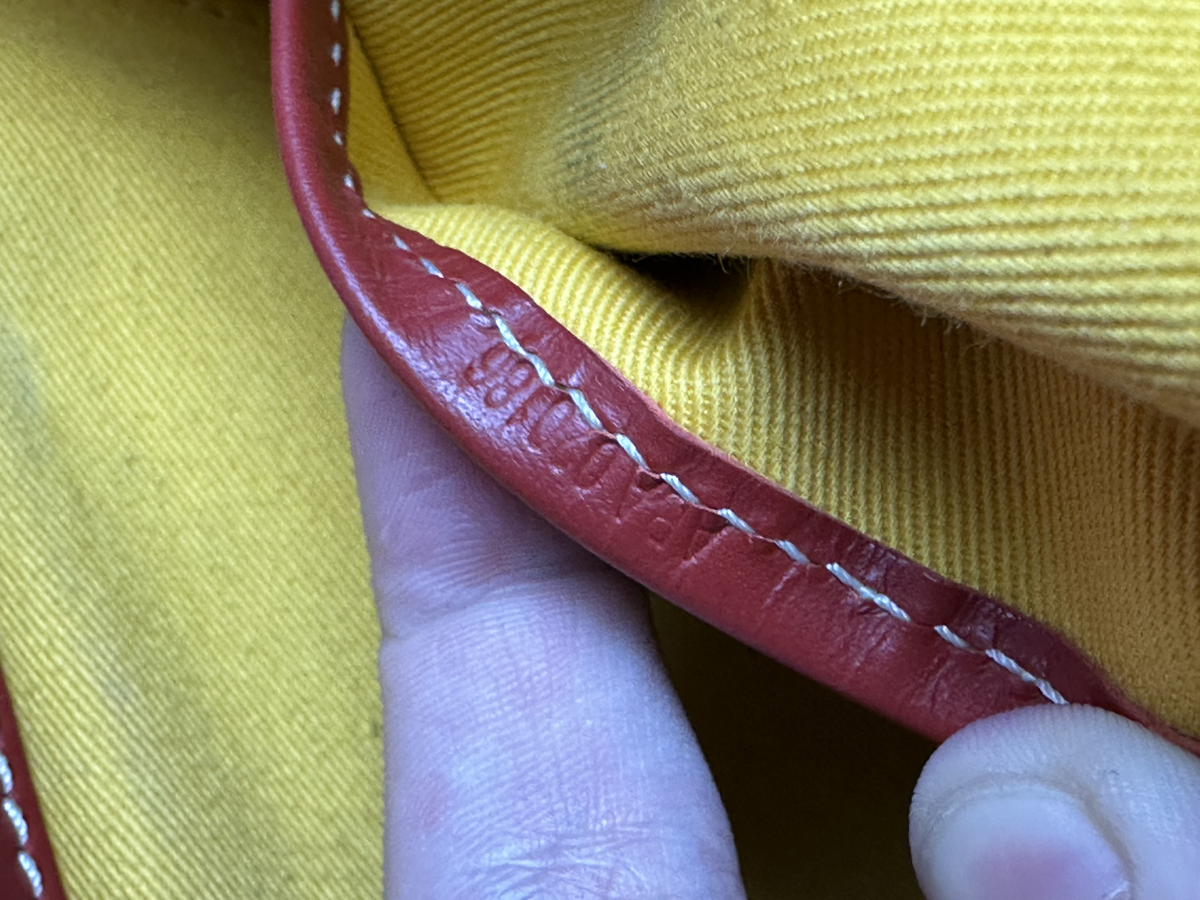 Goyard Belvedere MM Uzi-Red