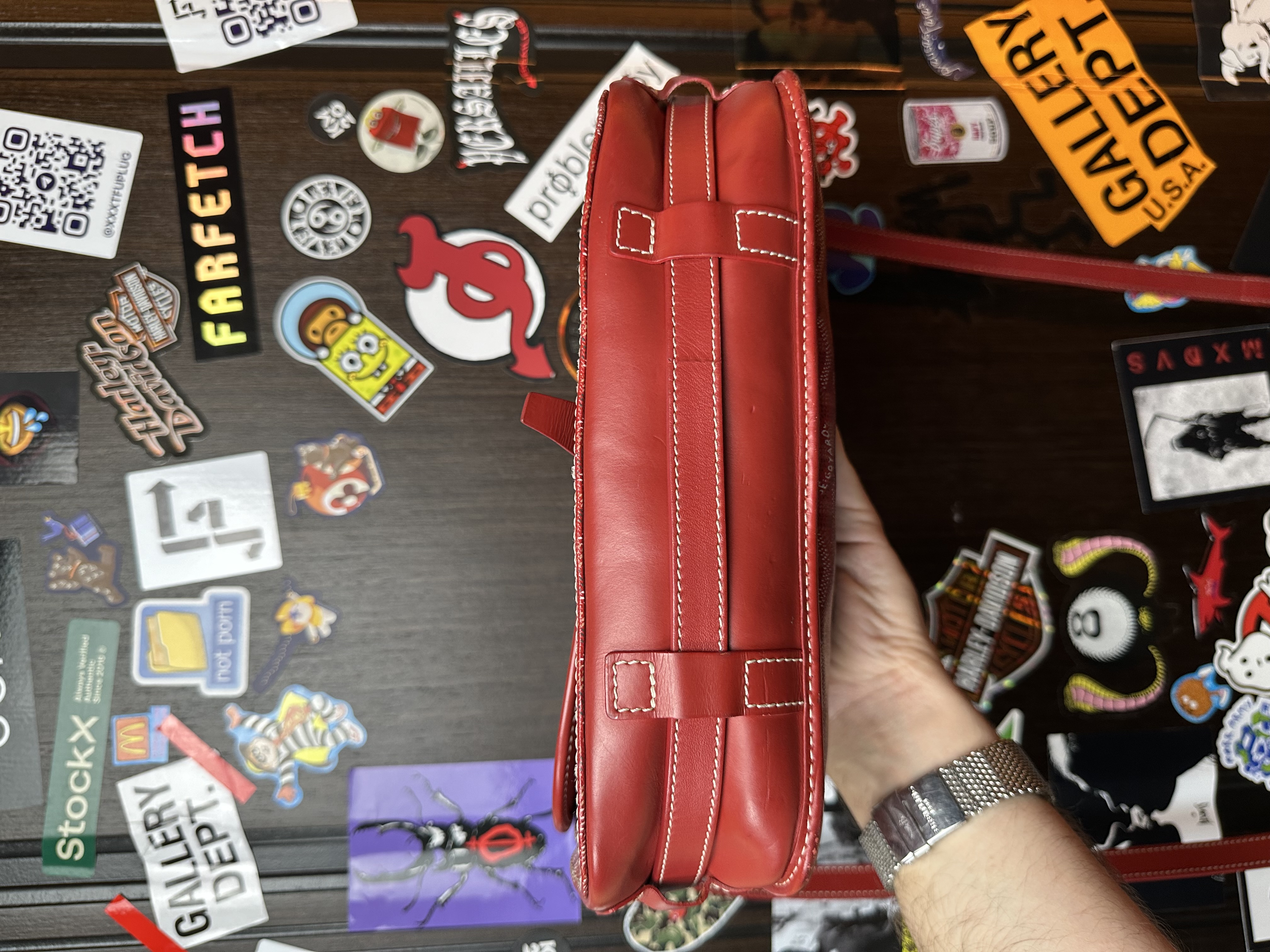 Goyard Belvedere MM Uzi-Red