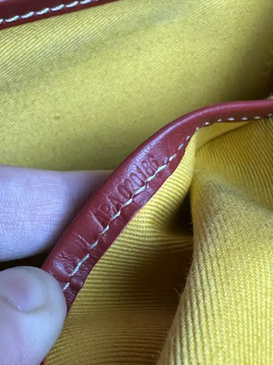 Goyard Belvedere MM Uzi-Red, detail view 9