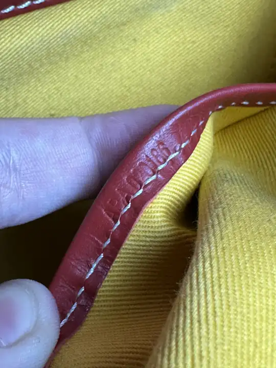Goyard Belvedere MM Uzi-Red, detail view 10