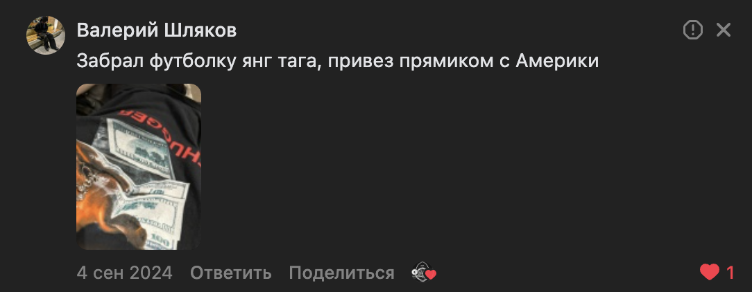 vk review screenshot